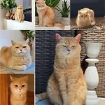 منزل للإقامة Dantas *