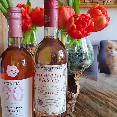 Dantas Homestay szállás *