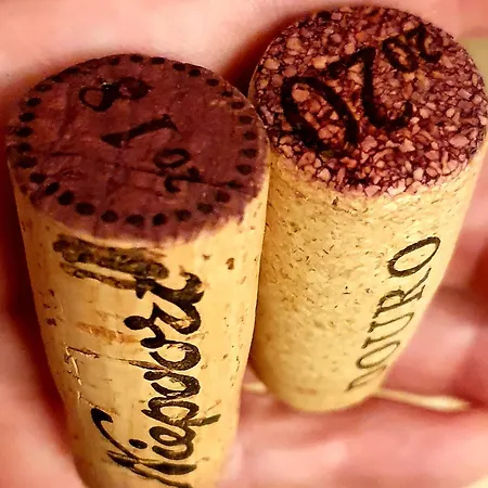 Homestay szállás Dantas *